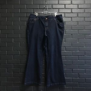 2 pair Lane Bryant Size 22 Average Denim